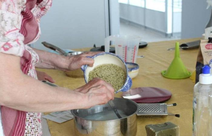 Learn how to make natural laundry detergent thanks to the sustainable development day in Lisieux