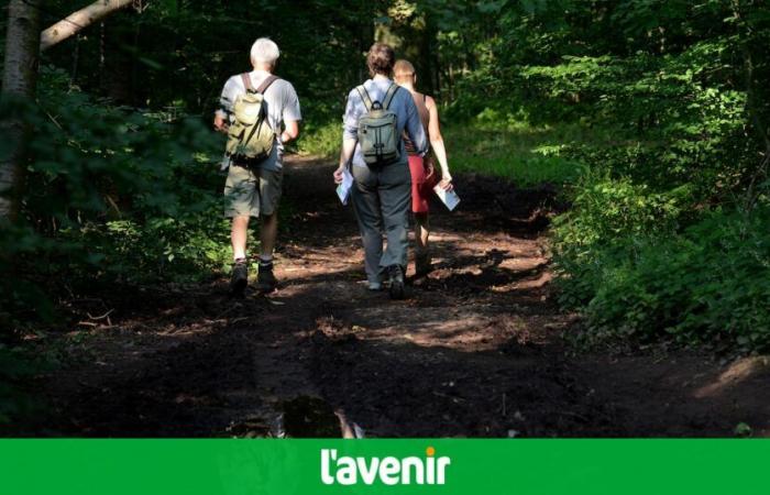 These forests in Wallonia are closed to walks, hikes, picking and cycling this Saturday, September 21 if you were planning to enjoy the sun (map)