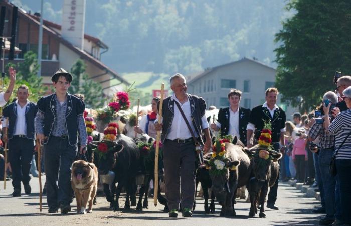 Traditions: Full house for the Planfayon descent from the Alps