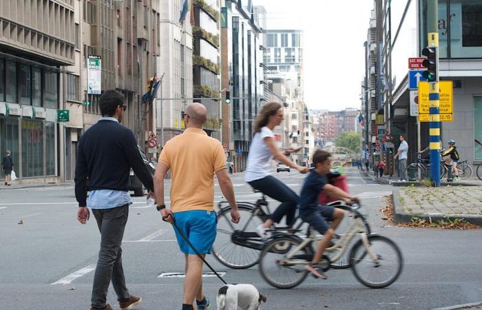 Is the car-free day in Brussels really useful?