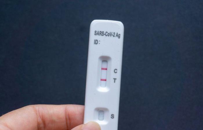 Covid-19: Should we be worried about the new XEC variant which could be the cause of a new wave?