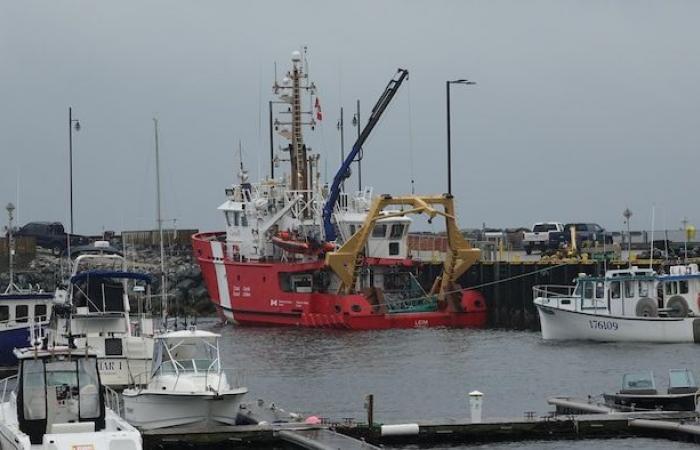 First independent scientific mission on lobster in Gaspésie