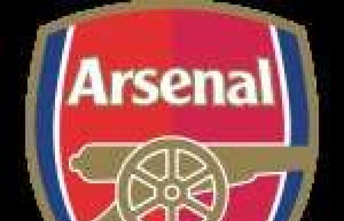 City snatches a point from Arsenal – Premier League – J5 – City-Arsenal (2-2)