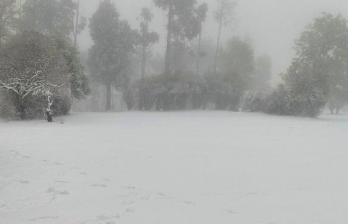 Snow in South Africa: Woman dies of cold