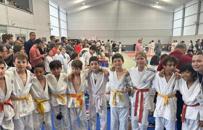 Colomiers. USC judo obtains the gold label from the French Federation