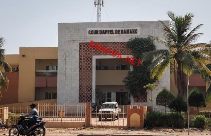 Terrorist attack on Faladie and Senou: View from the Bamako Court of Appeal