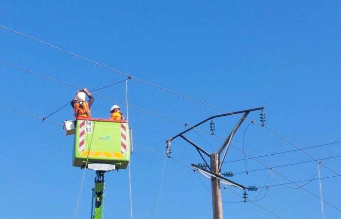 14 km of high-voltage power lines have been renovated in this sector of Seine-Maritime