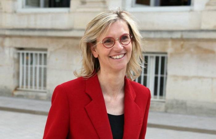 Agnès Pannier-Runacher, new Minister of Ecological Transition, Energy and Climate – Libération