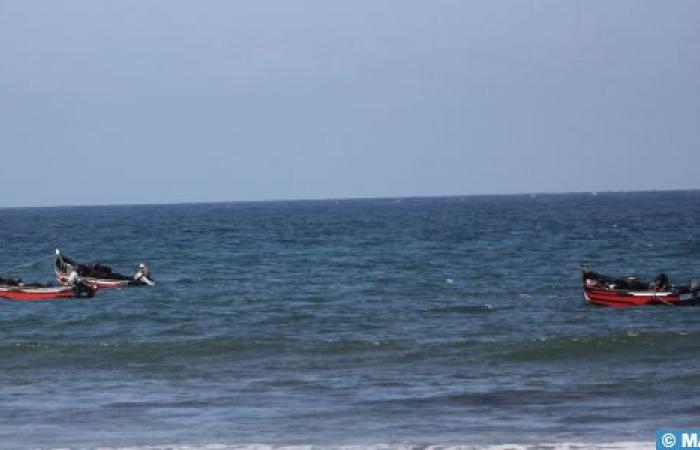 Seaweed Harvesting in El Jadida: An Important Income-Generating Activity