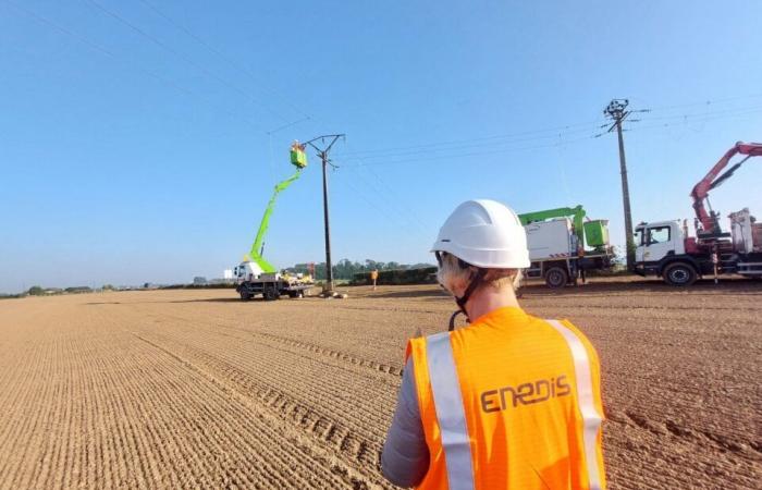 14 km of high-voltage power lines have been renovated in this sector of Seine-Maritime