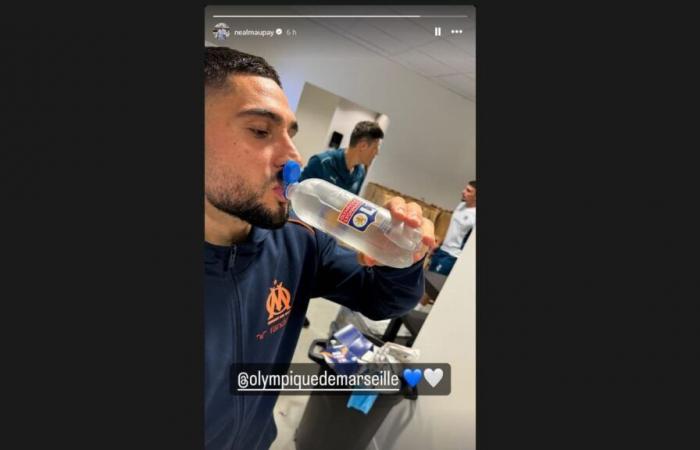 Neal Maupay’s troll against the Lyonnais