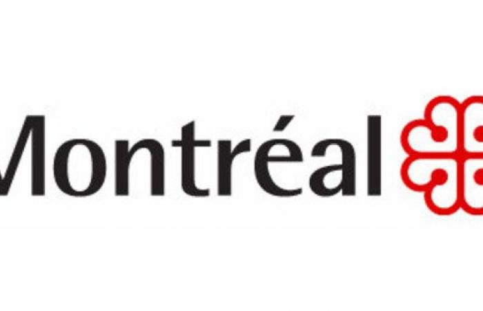 The City of Montreal unveils the finalists for the 20th Montreal Libraries Youth Book Prize 2024