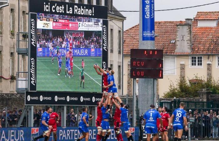 Top 14 – Vannes towards relocation? “There are not 36 options”, says RCV president Olivier Cloarec