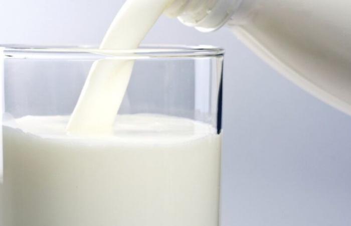 Trade: EU takes Chinese investigation into its dairy products to WTO