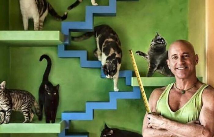 This Man Created A Real Sanctuary For Cats