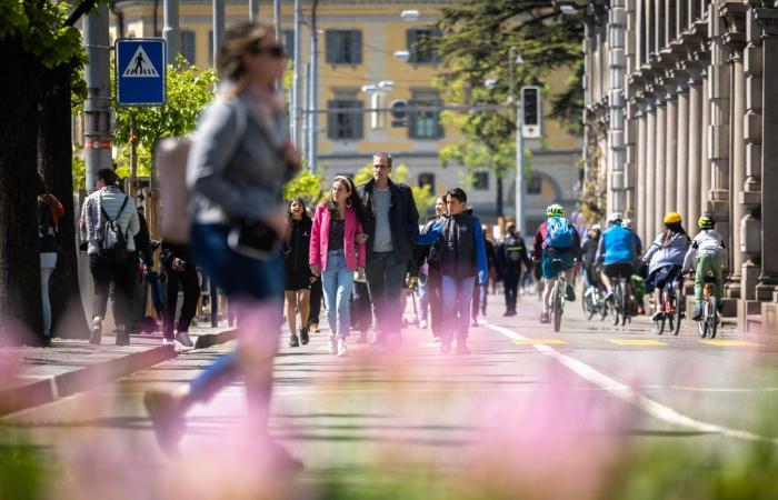 Swiss population: “We will have to fight for immigrants”