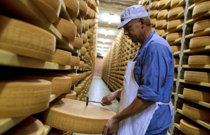 Parliament refuses to better defend Gruyère AOP