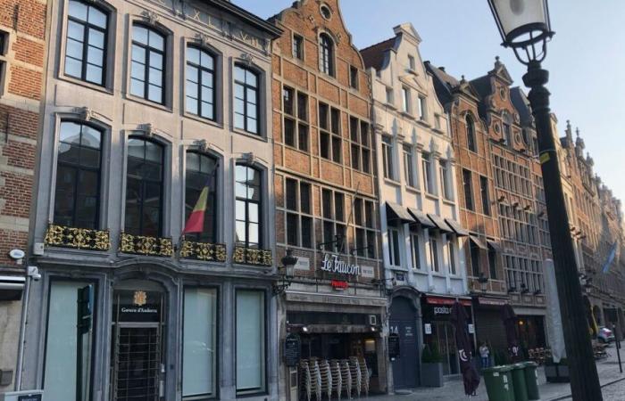 Architecture: Belgium, the Eldorado of students disappointed by Parcoursup