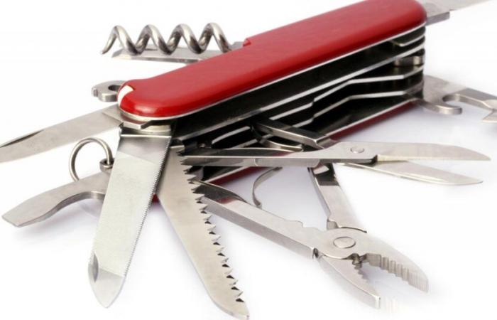 Cleondris: NetApp’s Swiss Army Knife