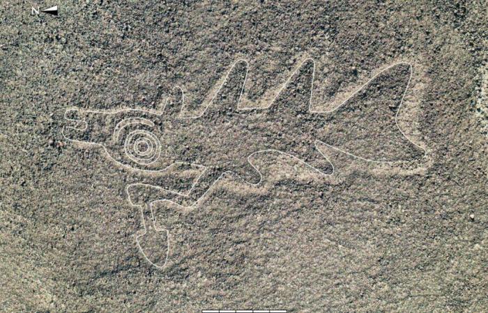 Nazca: more than 300 new geoglyphs discovered thanks to AI