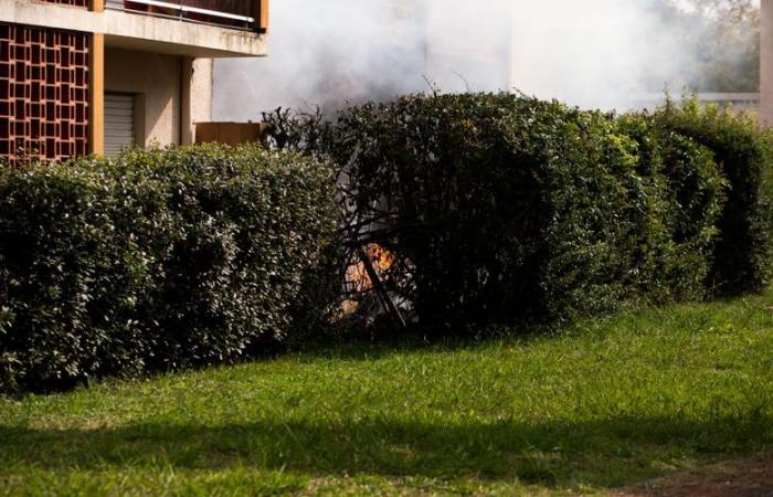 VIDEO. Fire in Auch: “While I was picking it up, she threw a burning cloth at me”, a building catches fire after a dispute between neighbors