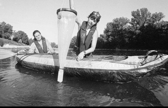 Montauban. Confluences-sur-Garonne, an exhibition by Mr. Cuquel