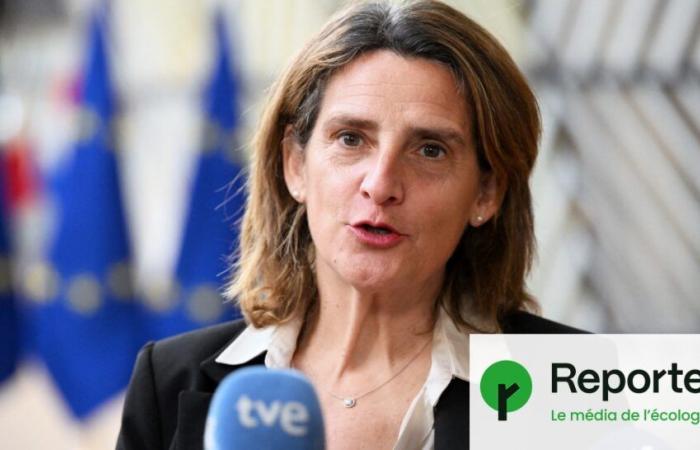 Who is Teresa Ribera, future boss of ecology in Brussels?