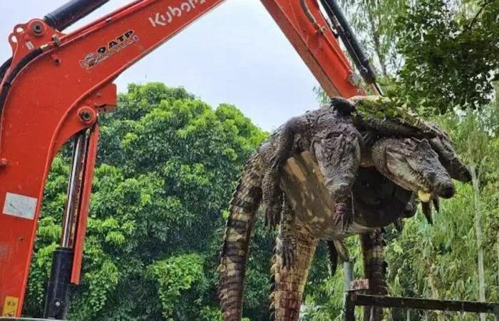 125 crocodiles shot dead over fears they might escape during floods