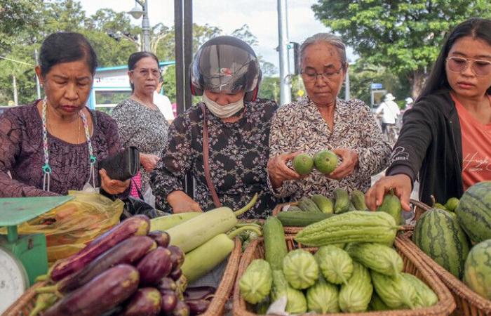 Cambodia’s inflation forecast down