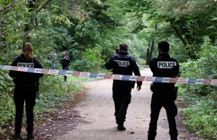 After the murder of Philippine, a 19-year-old student found in the Bois de Boulogne, what we know about the suspect arrested in Switzerland