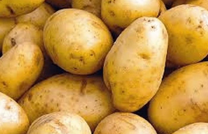 Potato prices set by the state… as long as they don’t disappear from the shelves! – Réalités Magazine