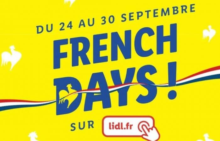 Lidl slashes prices on its Parkside and Silvercrest ranges for French Days