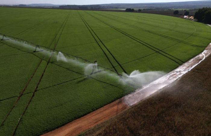 Brazil’s agricultural boom tests its logistical capabilities