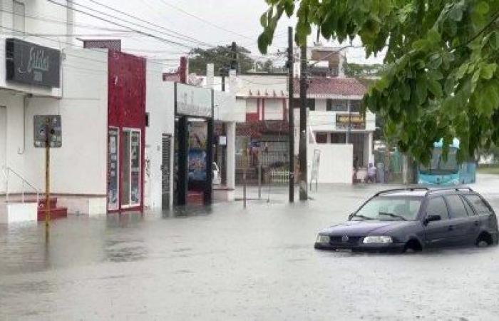 Videos show heavy wind and rain as Florida braces for Hurricane Helene