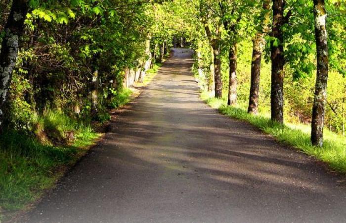 work to revegetate the greenway between Saint-Geniès des Mourgues and Boisseron