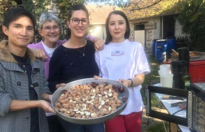 Chestnut day in Éguzon Saturday October 5