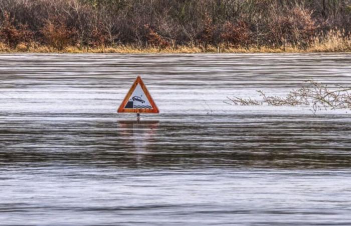 Rain-flooding: Guadeloupe placed on red alert, several departments on orange alert: News