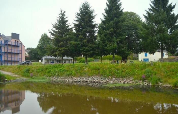 A mini campsite could see the light of day in the north of Loire-Atlantique