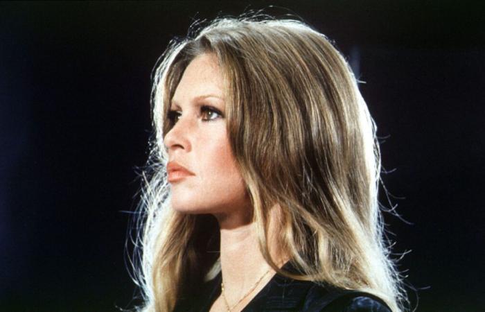 Special broadcast on Brigitte Bardot | Culture in all its forms