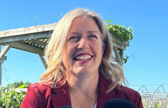 Immigration is essential for NB, but it needs to be better controlled, says Higgs | New Brunswick Elections 2024