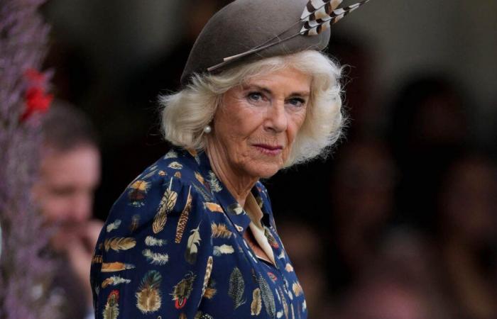 “She is robust”: Camilla’s son gives his news about Charles III’s cancer