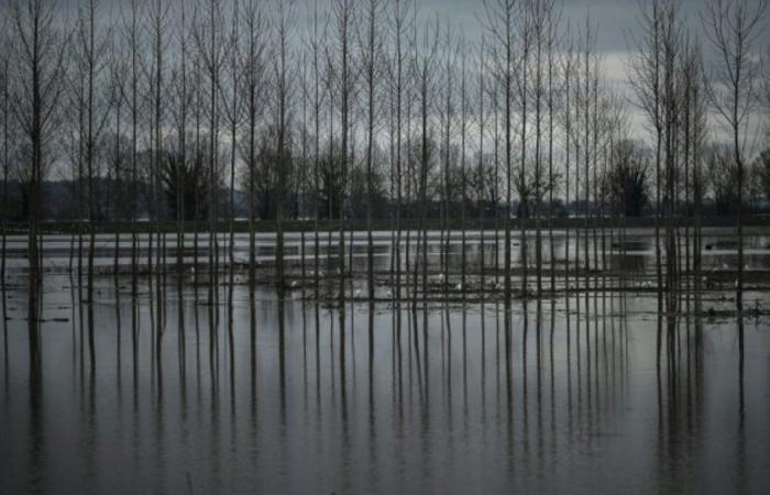 Weather: Seine-et-Marne placed on orange alert due to flood risk: News