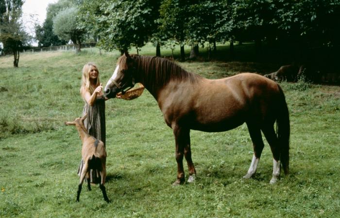 Brigitte Bardot: her house in Yvelines, a former sheepfold