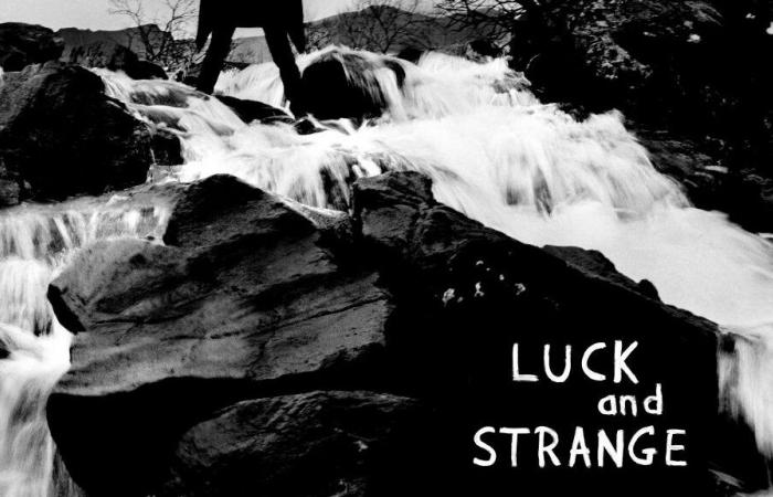 new album “LUCK AND STRANGE” first released in November Paesi – MEGAMODO