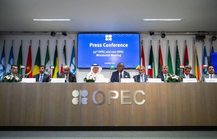 OPEC increases oil demand thanks to developing countries