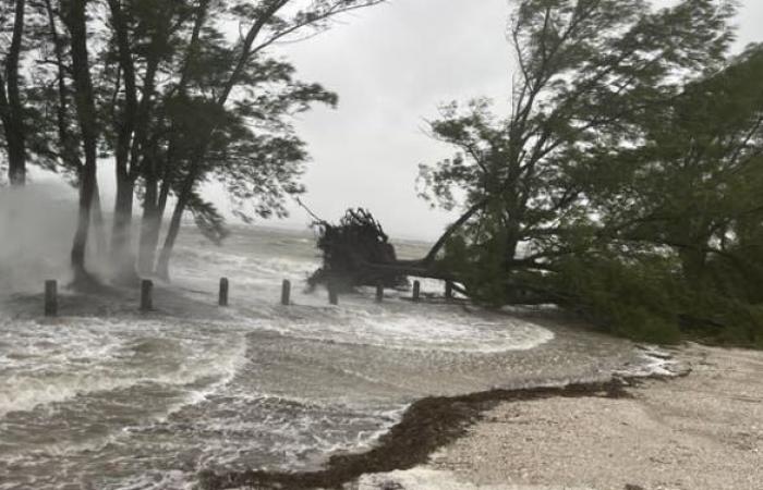 Hurricane Helene makes landfall in Florida as devastating Category 4 storm