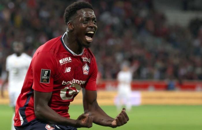 Le Havre – Lille: how Mohamed Bayo held on to stay in the LOSC squad