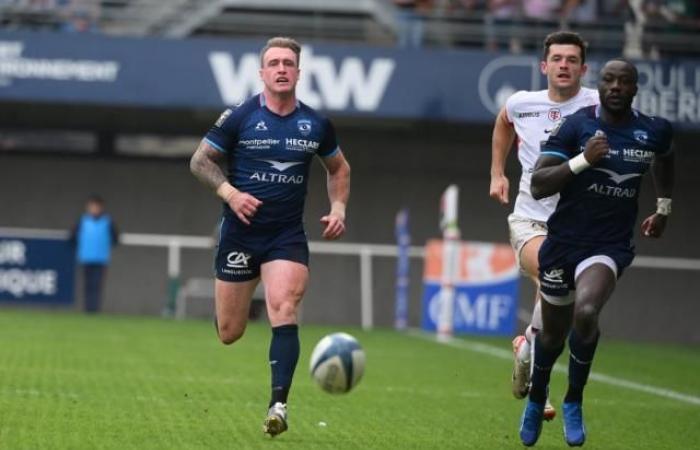 Stuart Hogg uncertain for Montpellier’s trip to Bayonne, Paul Willemse back