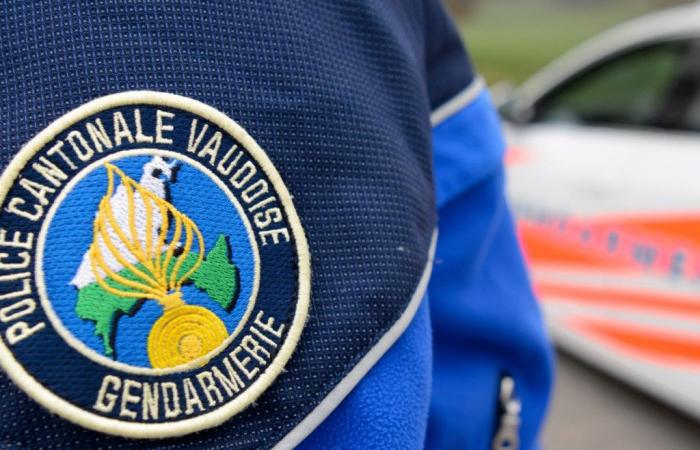 Vaud: two fake policewomen arrested in Morges and Moudon