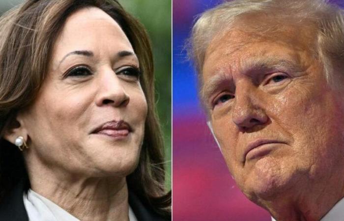 Is Kamala Harris widening the gap? What do the latest surveys say?